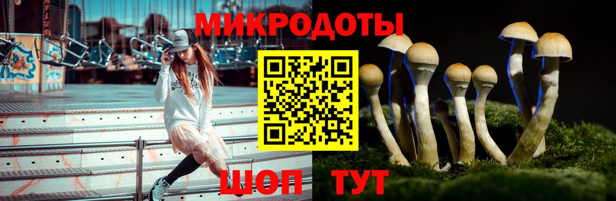 Галлюциногенные грибы GOLDEN TEACHER Сердобск