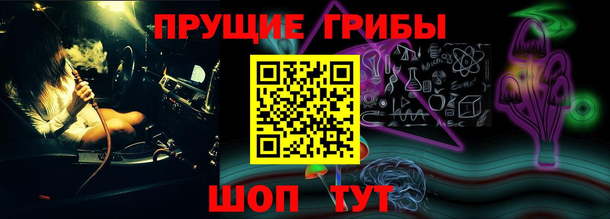 Псилоцибиновые грибы Psilocybe  купить   Вход с VPN  Сердобск  Галлюциногенные грибы Magic Shrooms 